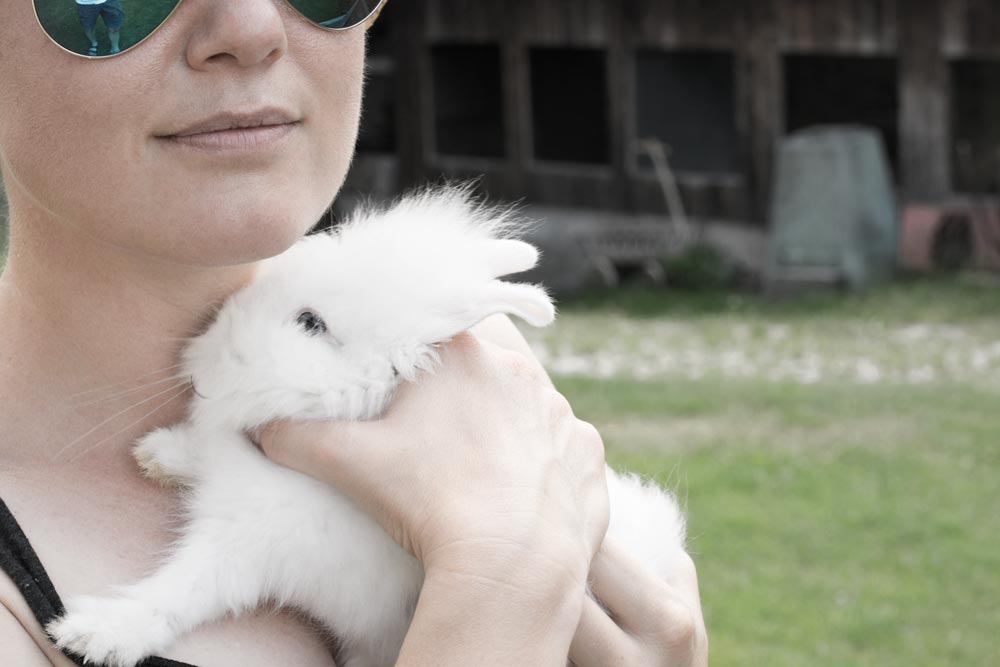 Bauernhof in Völs am Schlern, Südtirol, Hasenmamma