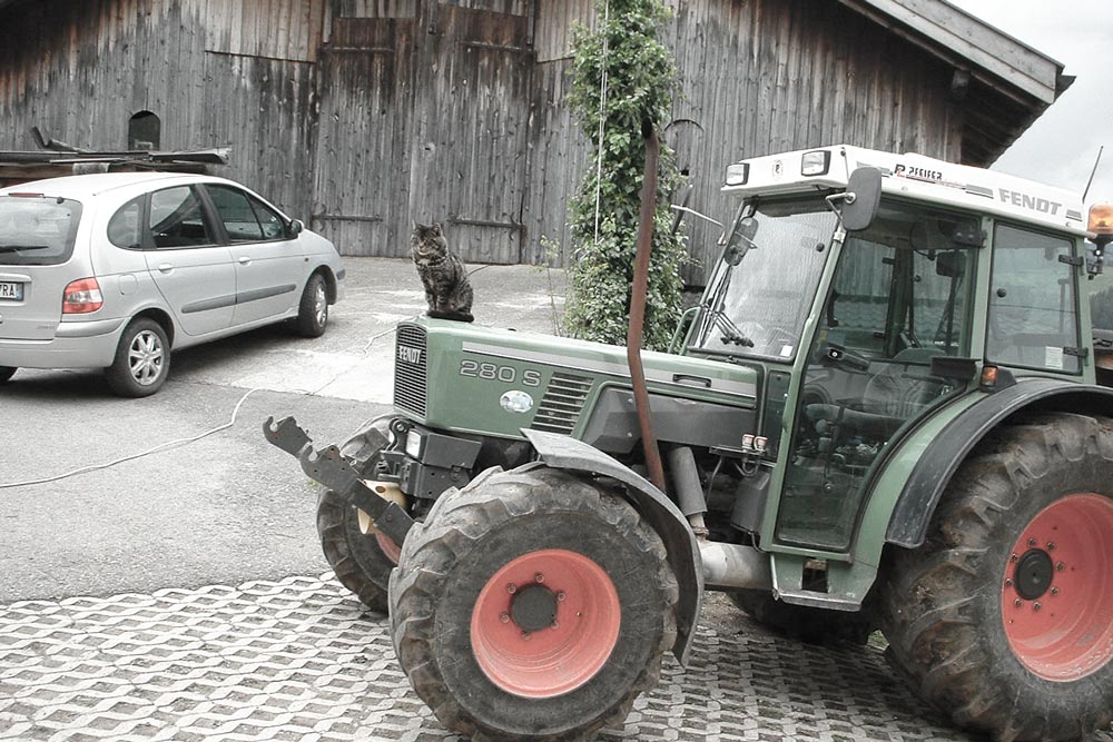 Urlaub in Völs am Schlern, Südtirol, Tramper