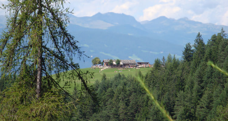Wander in Völs am Schlern, Tufalm