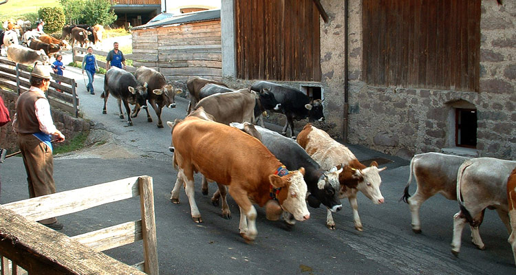 Ferie sul maso a Fiè allo Sciliar, Alto Adige