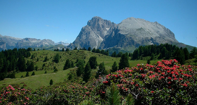 Wandern auf der Seiser Alm, Plattkofl