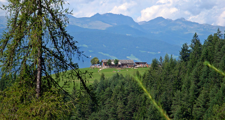 Appartamento vacanze a Fiè allo Sciliar, Alto Adige, malga Tuff