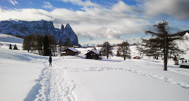 Winter vacation in South Tirol, 
winter landscape