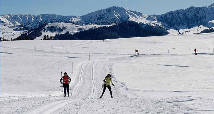 Winter vacation on the Seiser Alm, cross-country skiing