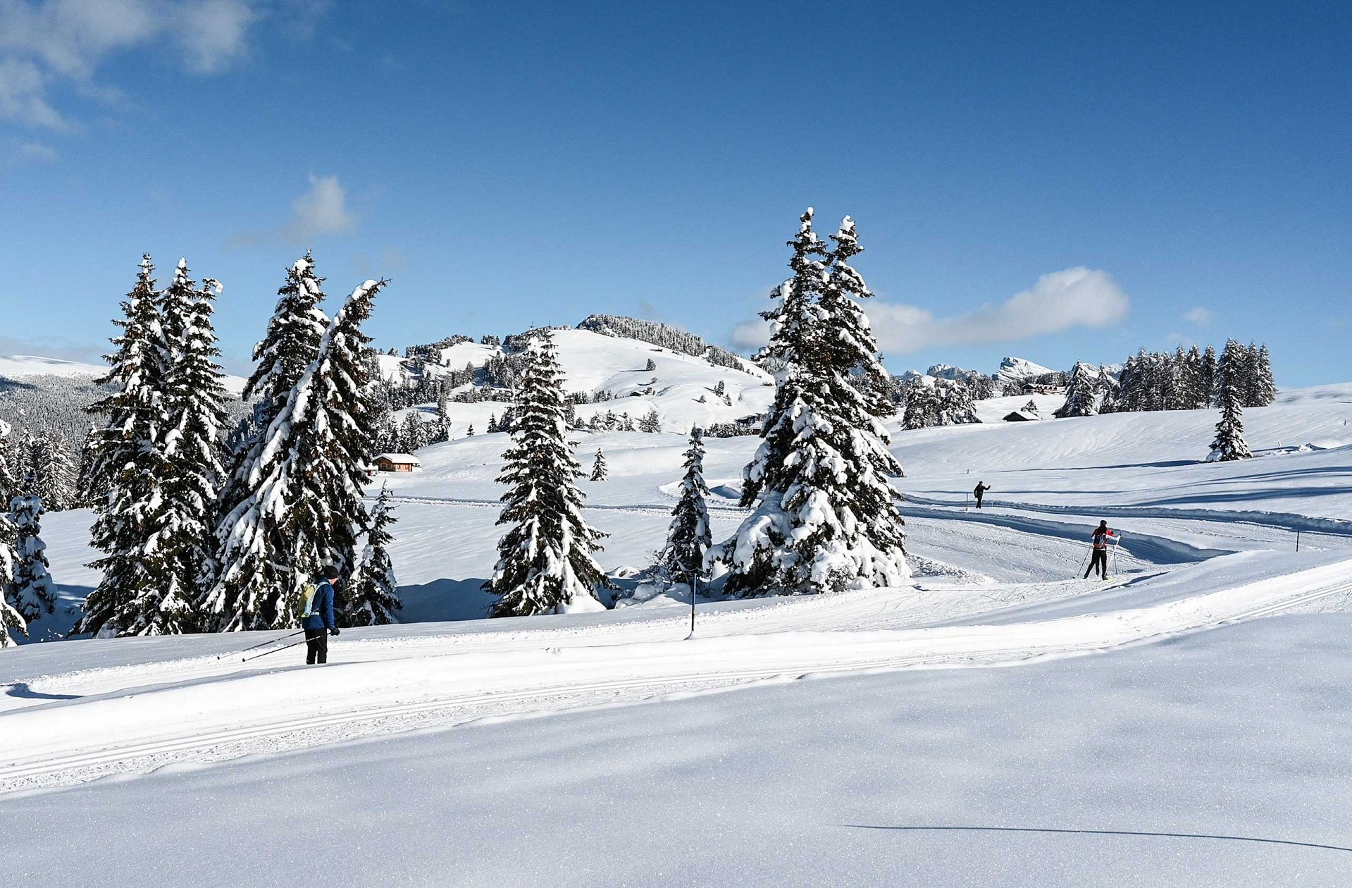 Cross-country ski trails between the Sassolungo and Sciliar mountains