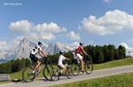 Rent a Bike