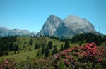 Alpe di Siusi