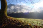 Autunno
