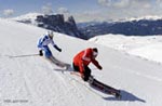 Skischulen