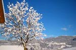 Winterlandschaft